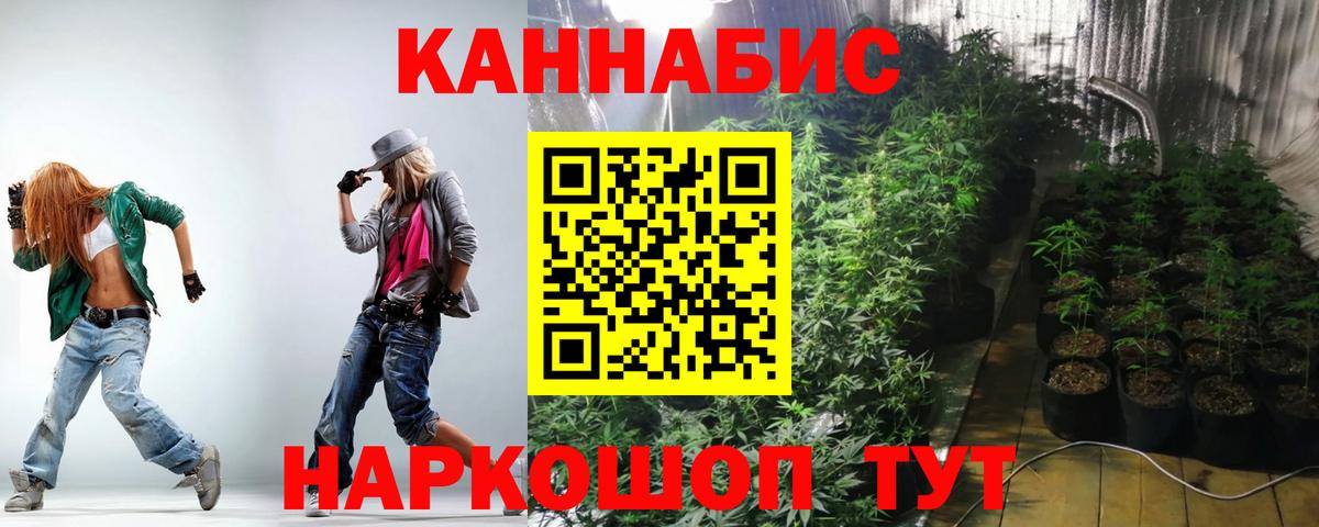 Бошки Шишки сатива Канаш